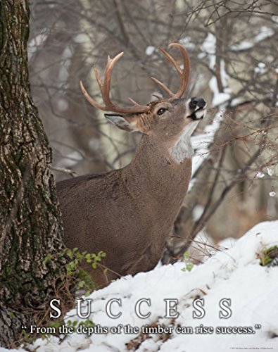 Whitetail Deer Motivational Poster Art Print 11x14 Bow Hunting Buck Commander Wall Decor Pictures