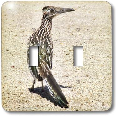 Amazon Co Jp 3drose Lsp 2オオミチバシリbaja California メキシコダブル切り替えスイッチ Diy 工具 ガーデン