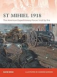 St Mihiel 1918: The American Expeditionary Forces' trial by fire (Campaign) by 