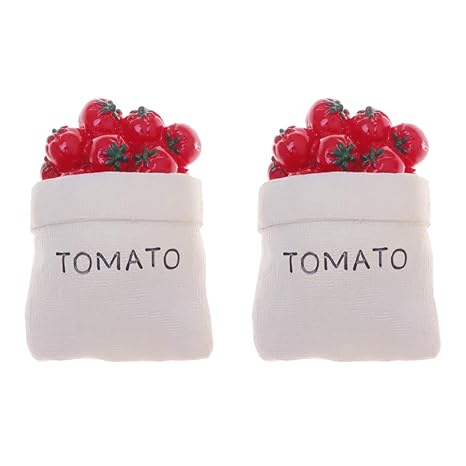BESTonZON 2 Piezas Simulación Bolsa de Tomate Resina Imanes de ...