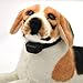 Excelvan Remote Control Dog Training Shock Collar for 2 Dogs with 100LV of Shock and Vibration, Rechargeable and Waterproof