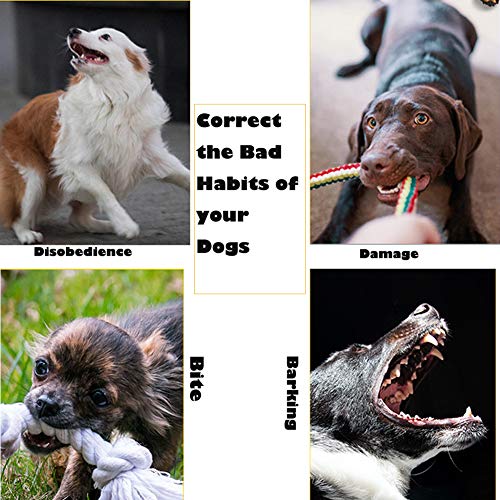 ZIFEIPET Dog Training Collar Shock Collars for Dogs with Remote 4 Training Modes, Shock Vibration, Beep and LED Mode… - Image 8