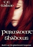 Permanent Shadows (The Punishment Sequence Book 2)