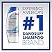 Head & Shoulders Classic Clean 2-in-1 Anti-Dandruff Shampoo + Conditioner 13.5 Fl Oz
