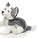 Nat and Jules Playful Large Husky Dog Children's Plush Stuffed Animal Toy