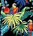 RJC Boys Jungle Parrot Shirt in Black - 4
