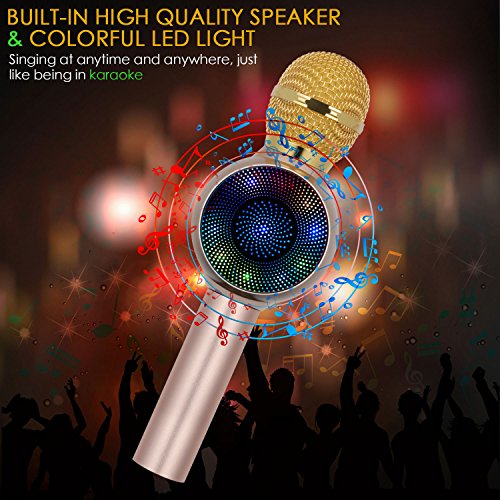 2 Microphone+InThoor+Professional+Bluetooth+Smartphone