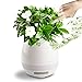Music Flower Pot,LOVK Smart Touch Plant Piano Music Playing Flowerpot USB Rechargeable Wireless Bluetooth Speaker Musical Box Planter Decor with Multicolor Night Lights for Office Home (without Plant)