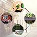 Seedling Heat Mat, Warmhoming Seed Propagating Heat Mat for Seedling, Durable Waterproof Warm Hydroponic Heating Pads (18.5