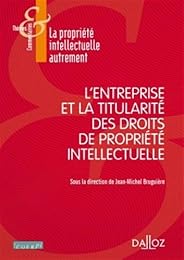 L' entreprise et la titularité des droits de propriété intellectuelle