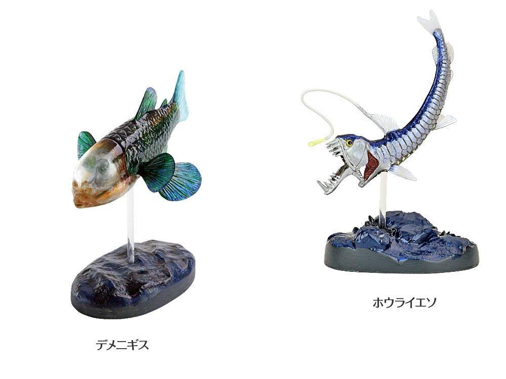 魚フィギュアばら売り 楽天市場】動物 リアル フィギュア 立体図鑑フォッシル
