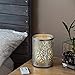Enduring Decor Forest Aromatherapy Essential Oil Diffuser - Modern Metal & Glass Design. Remote Controlled Operation, Bright & Candle Modes & Soothing Cool Mist. Adjustable Mist Mode & Auto Shut-Off