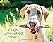 Dogs Unleashed: Adventures with Our Best Friends by Orvis