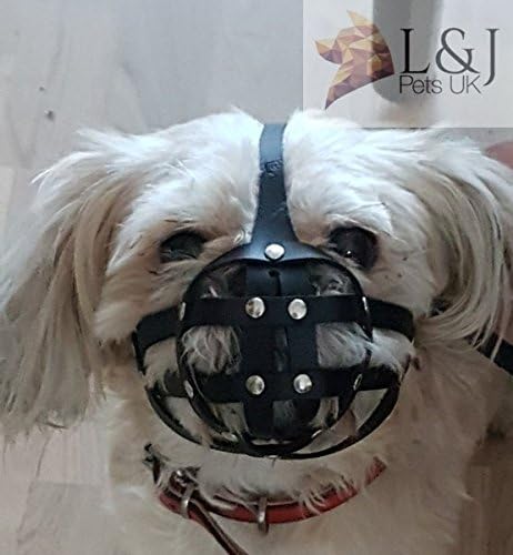 pug muzzle amazon