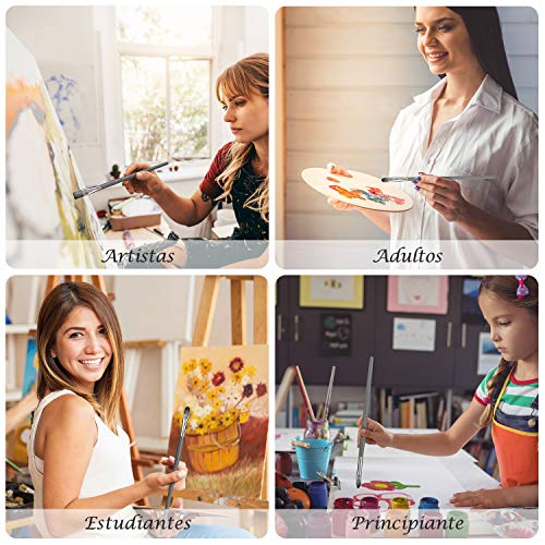 Art Paint Brushes Set 15 Sizes Painting Brush Kit Professional for Acrylic Watercolor Oil Gouache and Canvas Painting 16PCS with Pop-up Carrying case for Kids, Adults, Artists