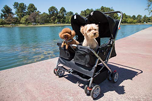 pet carriages