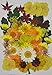 UOKWIWI 44 pcs Yellow Viola,Hydrangea,Maple Leaf,Sanvitalia Real Pressed Dried Flowers