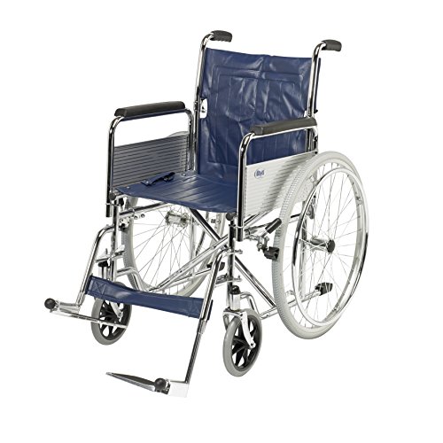 Days Self-Propelled Wheel Chair Detachable Folding Back and Foot Rest