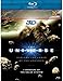 The Universe: 7 Wonders of the Solar System [Blu-ray] primary