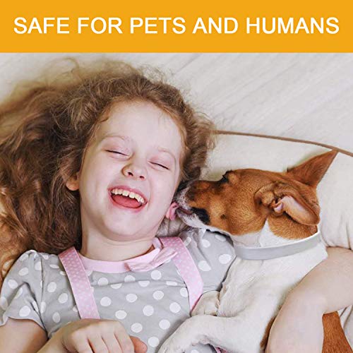 Flea and Tick Prevention Collar for Dogs 1 Year Protection Control Safe & Hypoallergenic & Waterproof & Adjustable Size 25 Inches Fits Most Dog - Thumbnail 2