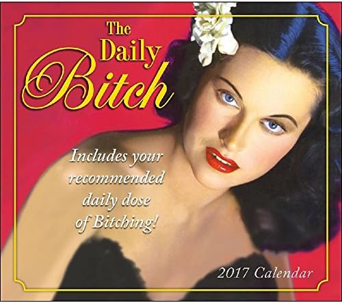 2023 DAILY Bitch Page-A-Day Daily Boxed/DESK Calendar