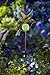 Moonrays Solar LED Garden Stake Lights In Hummingbird Design (Metal & Glass materials)