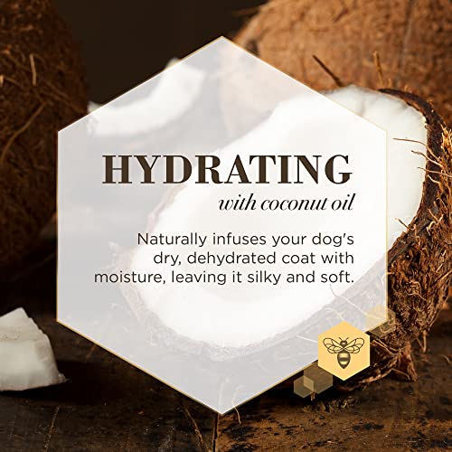 Burt's Bees for Puppies Care Plus+ Natural Hydrating Shampoo with Coconut Oil Nourishing Puppy
