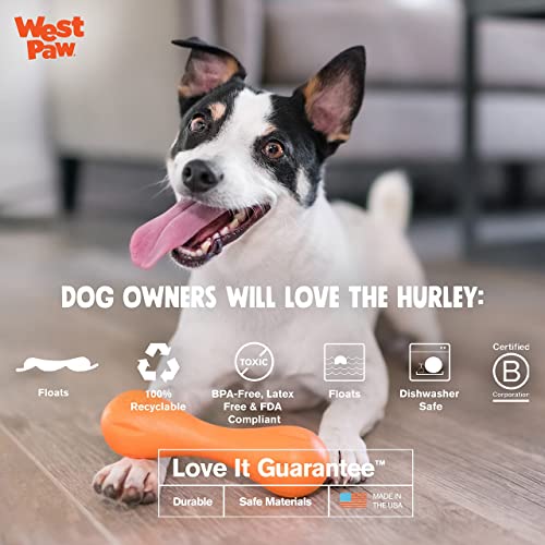 WEST PAW Zogoflex Hurley Dog Bone Chew Toy Floatable Pet Toys for