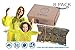 Ponchos Family Pack Rain Poncho - REUSABLE Rain Poncho for Kids Poncho Disposable Disney Poncho for Adults Disposable 8 Rain Poncho Family Pack Pancho