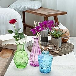 Coloch Set of 10 Colored Bud Vases, Assorted Small