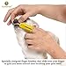 SunGrow Dog Toothbrush Set, 2 Dual-Headed Brush and 2 Finger Brushes, Freshens Dog's Breath, Vet and Pet Groomer Recommended, 4 Pack