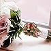 UNOMOR Gift Pull Bows for New Year Gift Christmas Decorations Pack of 12