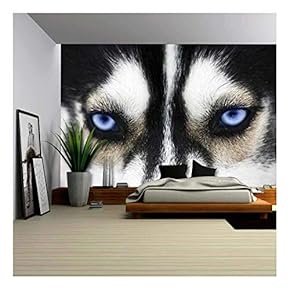 Close Up on Blue Eyes of a Dog - Removable Wall Mural | Self-Adhesive Large Wallpaper - 66x96 inches