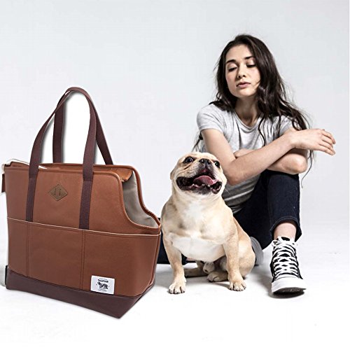 TAILFOUR Portable Travel Pet Carrier, Soft and Comfortable Sided Tote Carrier for Small Animals, Luxury PU Leather Travel Bag Ideal for Shopping, Outdoor Hiking, Walking with Doggy