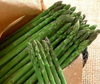 Seedscare - Original Seeds Pack Asparagus UC 157- F2 Imported 500gm x 2 tin seeds pack (1 kg) sold by Seedscare India