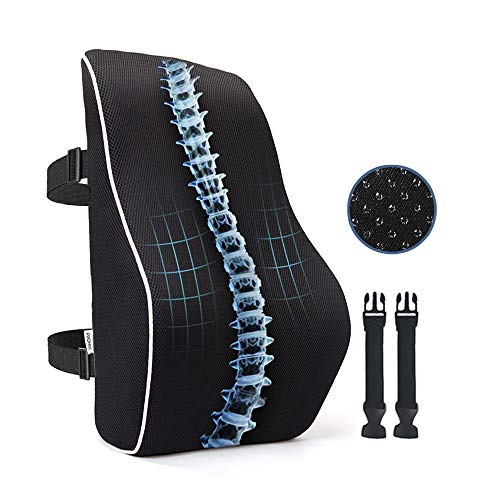 PROMIC Memory Foam Lumbar Support Back Cushion, Ergonomic Lumbar Pillow