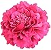 Hair Flower Clips Brooch Boutique Hair Accessories Bohemia Hairpins for Women Girls
