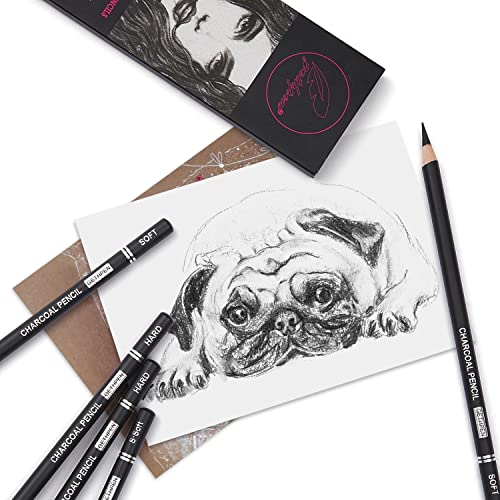 GETHPEN Professional Charcoal Pencils Drawing Set 7 Pieces Super Soft