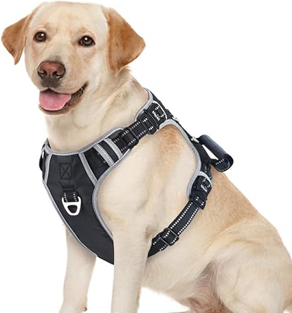 HQREA Hundegeschirr Mit Leine - Weich & Sicher Für Mittelgroße Hunde Größe L