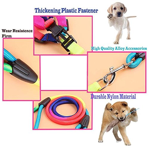Runfish colorful pet harness dog traction with rope chain tether strap (S(neck circumference ：7.8-13.3 in))
