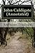John Caldigate (Annotated)