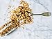 Oat My Goodness Premium Craft Granola, Vintage, 8 oz (Pack of 2) (861552000005)