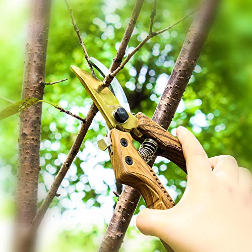Oara SK-5 Steel Hand Pruners for Garden, Garden pruners Shears, Pruning Shears Garden, Garden Shears Clippers for Plants, Clippers for Garden Work