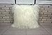 Lichao Ivory Mongolian Lamb Fur Pillow Cover Luxurious Sheep Skin Cushion Cover Soft Plush Curly Pillow Case Home Decorative Square Throw Pillow cover Plain Wool Pillow Protector 16 X 16 Inch Bedroom