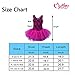 Meeyou Little Girls' Flower Ovelay Ballet Tutu Dress