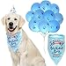 Cloudy Come CoN Dog Birthday Boy Bandana with Paw Print Party Cone Hat and 10 Balloons - Great Dog Birthday Outfit and Decoration Set - Perfect Dog or Puppy Birthday Gift