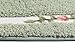 JSJ_CHENG Soft Microfiber Coins-Round Rose Floral Doormats Bath Rugs and Mats,TPR Rubber Backing Non Slip, 17-inch By 30-inch (Green)