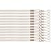 Champion Sports Nylon Lanyards with J-Hook Clip, White - 12 Pack (Poly Bag)