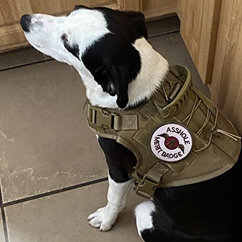 2 Pieces 3in / 7.6cm Asshole Merit Badge Morale Patch, Funny Tactical Military Morale Patch Hook & Loop, Black