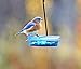 Stokes Select 38200 Bird Feeder, Blue